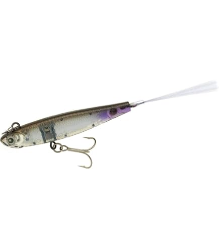 魚皮トラファルガー5 魚皮トラファルガー5 魚皮トラファルガー5